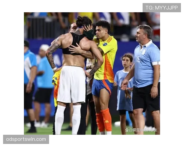 努涅斯在南美国家队关键战中的表现解析：效率、角色与上限